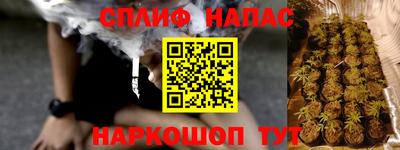 тгк Обь