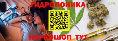 тгк Обь