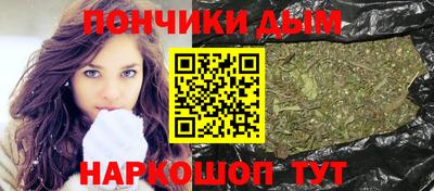индика Партизанск