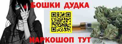 тгк Обь